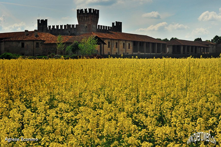 il castello di colleoni.jpg - il castello del Colleoni